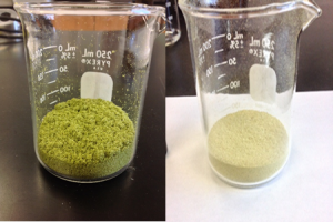 Figure 2: Zeus hops pre and post CO2 extraction. Photos courtesy of Loyalist College. 
